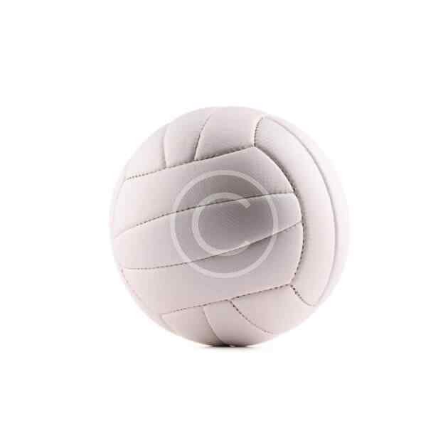 Leather ball